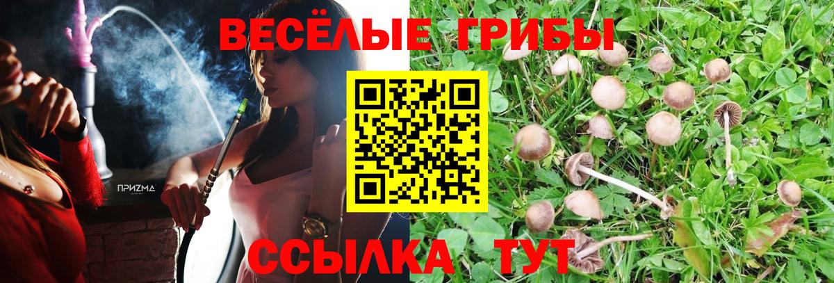 Галлюциногенные грибы мицелий  Вход с VPN  Топки  Галлюциногенные грибы Cubensis 
