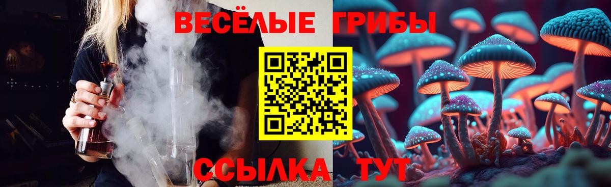 Галлюциногенные грибы Psilocybine cubensis Топки